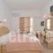 Leonardos Studios And Apartments Paros_best deals_Apartment_Cyclades Islands_Paros_Naousa