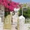 Leonardos Studios And Apartments Paros_travel_packages_in_Cyclades Islands_Paros_Naousa