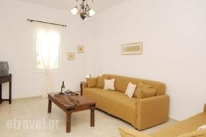 Tzane_best deals_Apartment_Cyclades Islands_Paros_Chrysi Akti