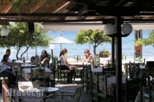 Miramare Bungalows_travel_packages_in_Macedonia_Halkidiki_Paradisos