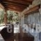 Villa Olive_accommodation_in_Villa_Thessaly_Magnesia_Ano Volos