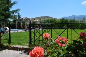 Villas Elpiniki_best prices_in_Villa_Aegean Islands_Lesvos_Mythimna (Molyvos)