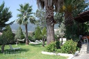 Villa Angela_holidays_in_Villa_Ionian Islands_Lefkada_Vasiliki