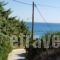 Mediterraneo Apartments_best deals_Apartment_Dodekanessos Islands_Rhodes_Archagelos