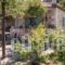 Villa Petra_best deals_Villa_Crete_Chania_Vryses Apokoronas