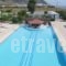 Sweet Kalimera Apartments_best prices_in_Apartment_Dodekanessos Islands_Kos_Kardamena