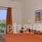 Paradise Beach Apartments_holidays_in_Apartment_Ionian Islands_Zakinthos_Zakinthos Chora