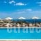 Irida Apartments_holidays_in_Apartment_Crete_Heraklion_Ammoudara