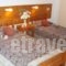 Arkadi Apartments_best deals_Apartment_Crete_Heraklion_Malia