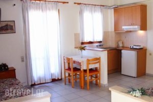 Lia Sofia Apartments_lowest prices_in_Apartment_Crete_Heraklion_Stalida