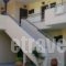 Maria - Pavlos Studios And Apartments_best deals_Apartment_Macedonia_Halkidiki_Chalkidiki Area