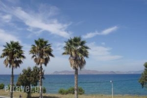 Andromeda Hotel Apartments_travel_packages_in_Dodekanessos Islands_Kos_Kos Chora