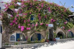 Stefano Apartments_accommodation_in_Apartment_Cyclades Islands_Paros_Piso Livadi