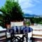 Golden Apartments_best deals_Apartment_Crete_Lasithi_Aghios Nikolaos