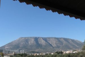 Petros Apartment_accommodation_in_Apartment_Central Greece_Attica_Alimos (Kalamaki)