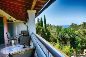 Apartments Villa Nina_best prices_in_Villa_Ionian Islands_Corfu_Afionas