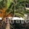 Seirines Apartments_best deals_Apartment_Cyclades Islands_Syros_Syros Rest Areas