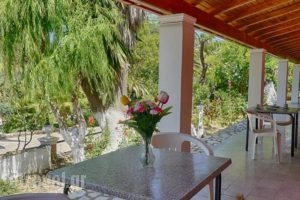 Apartments Villa Nina_travel_packages_in_Ionian Islands_Corfu_Afionas