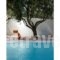 Infinity White Villa_holidays_in_Villa_Central Greece_Attica_Anabyssos