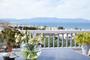 Villa Theodosia_best prices_in_Villa_Crete_Chania_Agia Marina