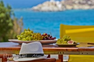 Ydreos Studios & Apartments_accommodation_in_Apartment_Cyclades Islands_Naxos_Mikri Vigla