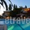 Cormoranos Apartments_best prices_in_Apartment_Crete_Chania_Kissamos