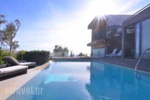 Stefanos Villa Lagonissi_best prices_in_Villa_Central Greece_Attica_Athens