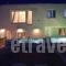 Terrarock Villa_best deals_Villa_Cyclades Islands_Mykonos_Tourlos