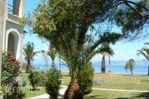 Irini Apartments_lowest prices_in_Apartment_Ionian Islands_Corfu_Lefkimi