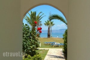 Irini Apartments_holidays_in_Apartment_Ionian Islands_Corfu_Lefkimi