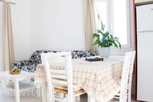 Ocean View Apartment_holidays_in_Apartment_Cyclades Islands_Paros_Paros Chora