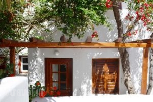 Villa Pinelopi_holidays_in_Villa_Cyclades Islands_Mykonos_Mykonos ora