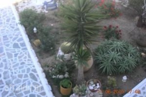 Studios Stavros_holidays_in_Apartment_Cyclades Islands_Paros_Piso Livadi