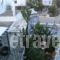 Studios Stavros_best deals_Apartment_Cyclades Islands_Paros_Piso Livadi