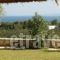 Villa Belvedere_best prices_in_Villa_Ionian Islands_Zakinthos_Keri Lake