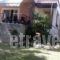 Villa Kapa_best prices_in_Villa_Piraeus Islands - Trizonia_Aigina_Marathonas