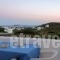 Spanos Apartments_travel_packages_in_Cyclades Islands_Andros_Gavrio