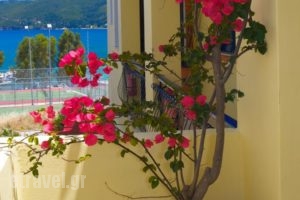 Kalypso Studios & Apartments_travel_packages_in_Ionian Islands_Kefalonia_Vlachata