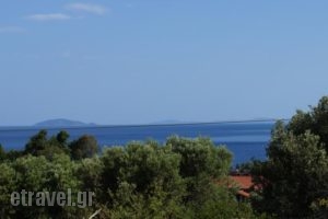 Sunny Apartments Halkidiki_accommodation_in_Apartment_Macedonia_Halkidiki_Kassandreia