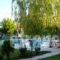 Villa Platythea_lowest prices_in_Villa_Macedonia_Florina_Florina City