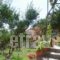 Rania House_holidays_in_Apartment_Macedonia_Halkidiki_Neos Marmaras