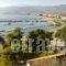 Astros Apartment_best deals_Apartment_Peloponesse_Arcadia_Paralio of Astros