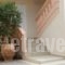 Babis Apartments_best deals_Apartment_Crete_Chania_Platanias