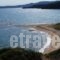 Thanos Apartments_best deals_Apartment_Macedonia_Halkidiki_Ierissos