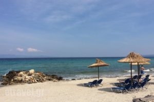 Kristy's Apartments_travel_packages_in_Macedonia_Halkidiki_Kassandreia