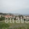 Villa Zabella_best deals_Villa_Ionian Islands_Zakinthos_Zakinthos Chora