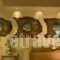 Paradise Lost Hotel-Apartments_best deals_Apartment_Peloponesse_Argolida_Tolo