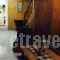 Apartment Maniakos_travel_packages_in_Aegean Islands_Samos_Pythagorio